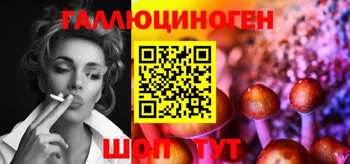 где купить   Вход с VPN  Воронеж  Псилоцибиновые грибы Psilocybe  Галлюциногенные грибы мухоморы 